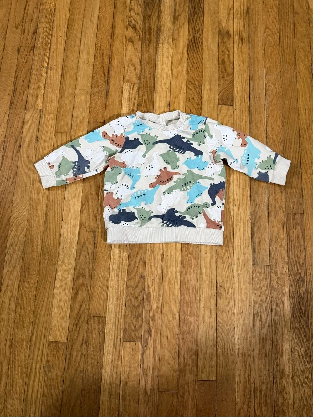 H&M 9M Dino Sweatsuit
